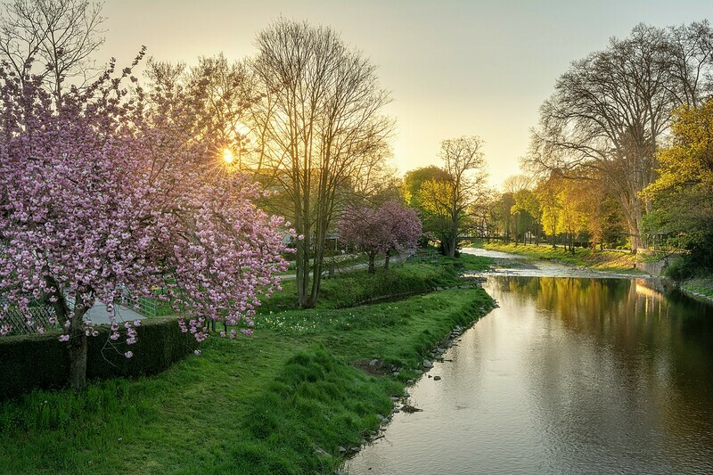 Frühling an der Ahr in Bad Neuenahr