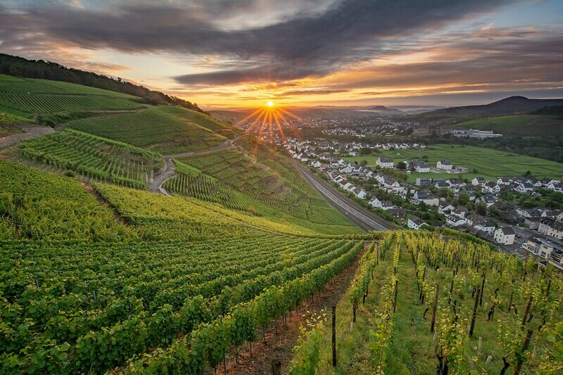 Blick über das Ahrtal im Sommer