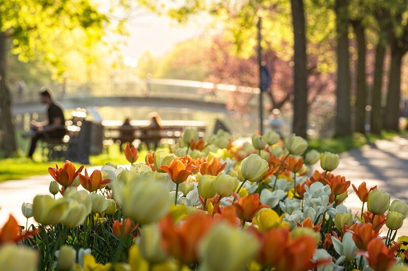 Frühling an der Ahr in Bad Neuenahr