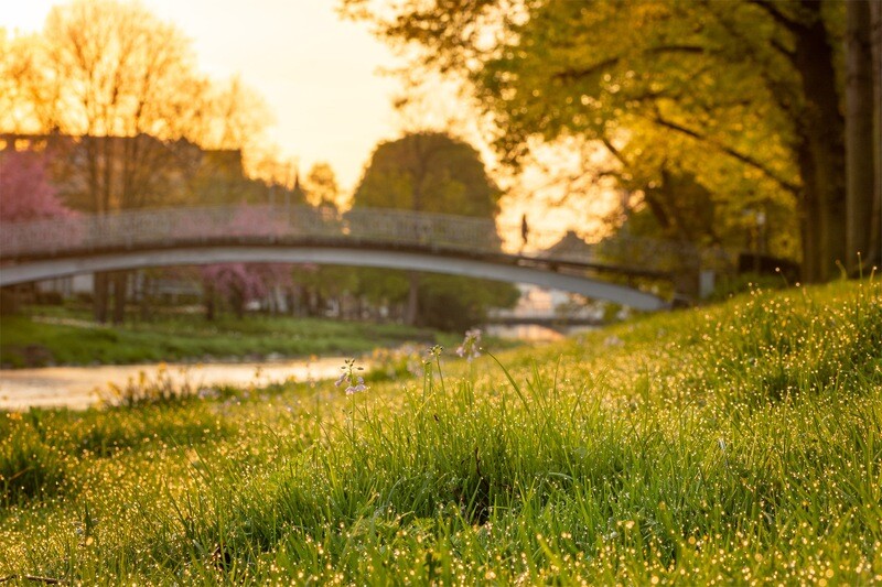 Frühling an der Maria-Hilf-Brücke in Bad Neuenahr