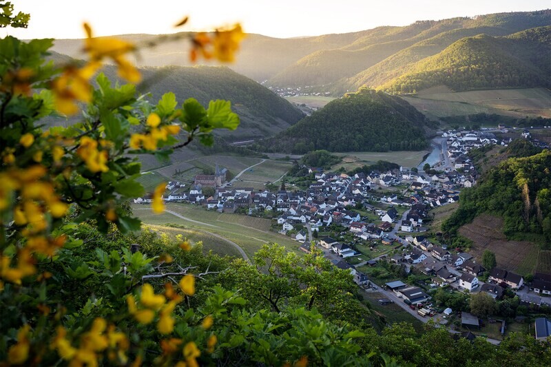 Frühlingsausblick über Mayschoß