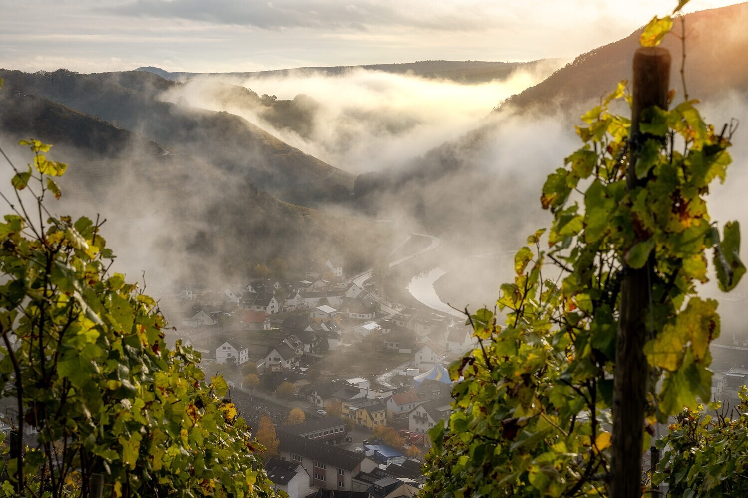 Nebel über dem Ahrtal in Dernau