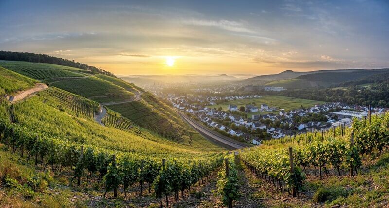 Panorama über Bad Neuenahr-Ahrweiler