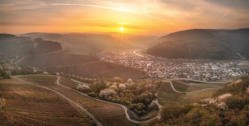 Frühling über Dernau