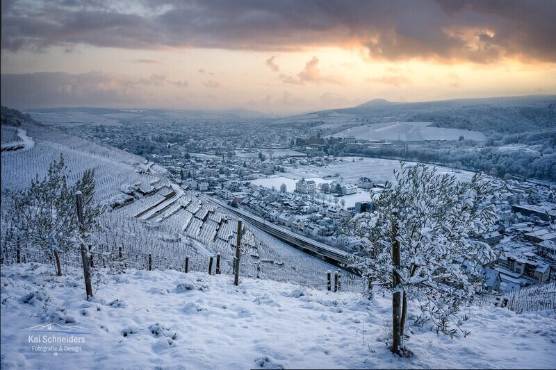 Blick vom Olivenhain auf Bad Neuenahr-Ahrweiler