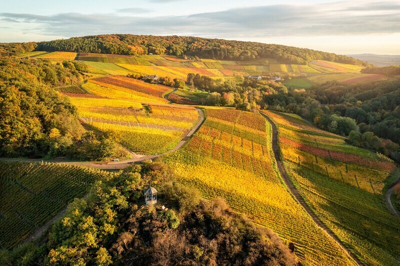 Fischley und Weinlage Rosenberg im Herbst