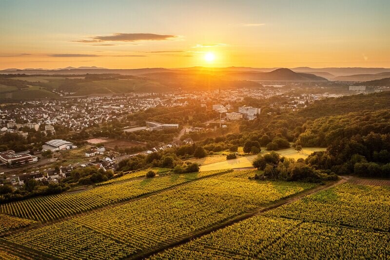 Blick über die Bachemer Weinberge nach Bad Neuenahr