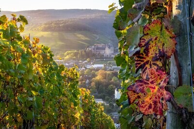 Herbstlicher Blick zum ehemaligen Kloster Calvarienberg