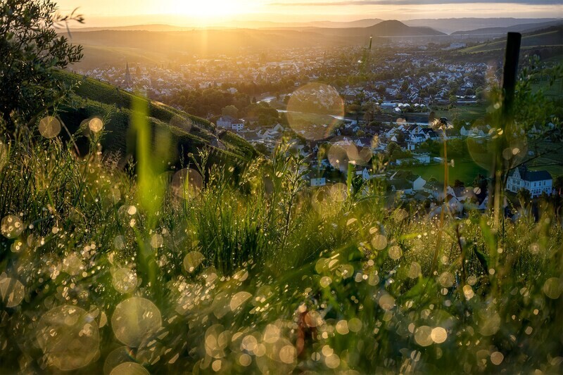 Blick über Bad Neuenahr-Ahrweiler im Frühling