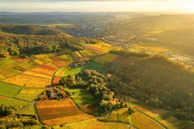 Herbstlicher Blick über Weinberge und Bad Neuenahr-Ahrweiler