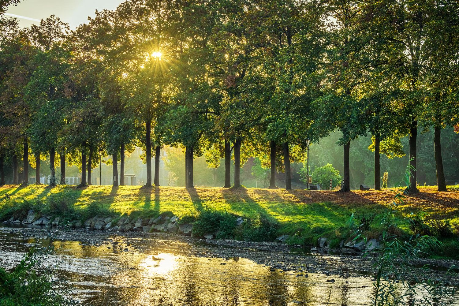 Allee in Bad Neuenahr