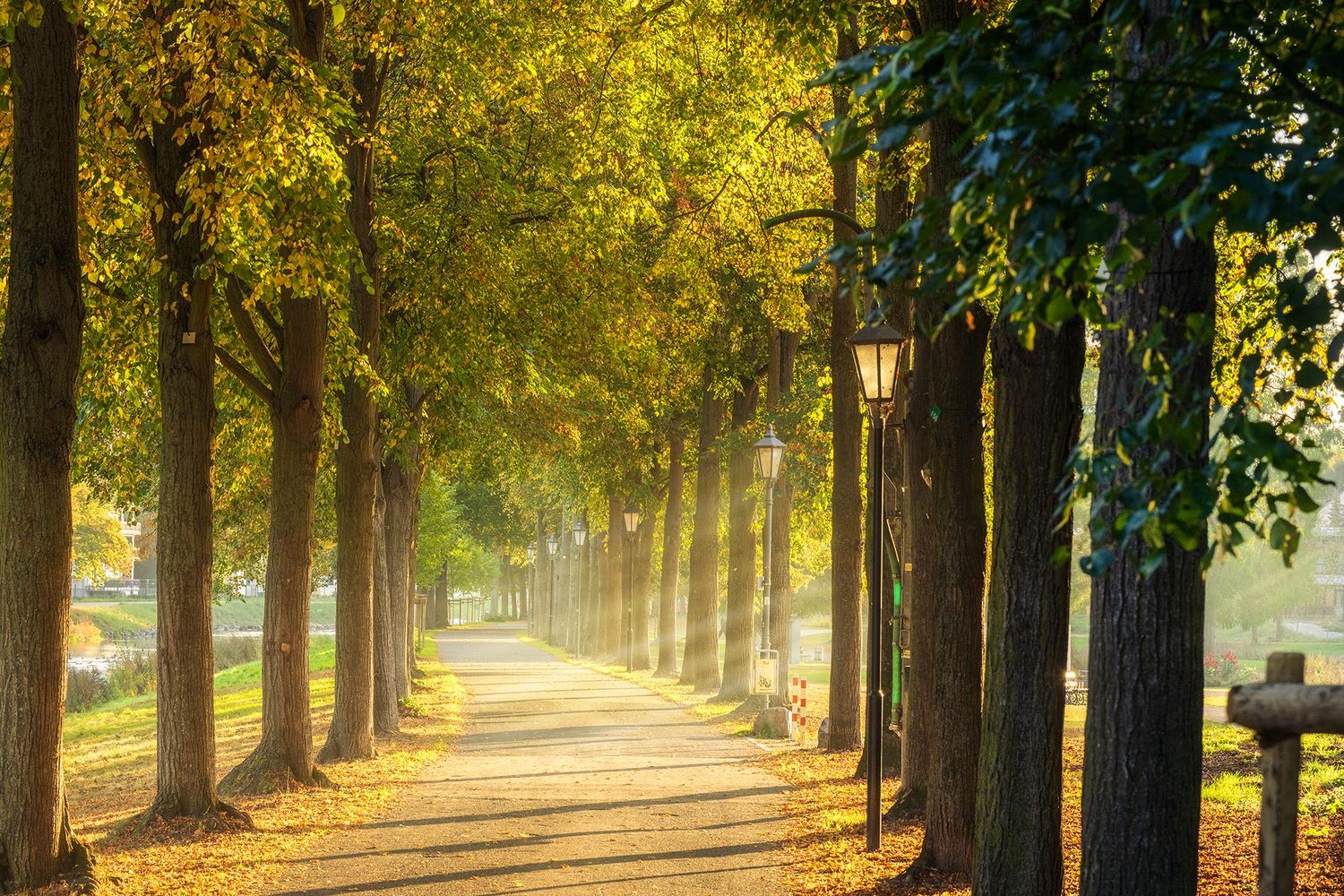 Sonnenstrahlen im KAV-Park in Bad Neuenahr