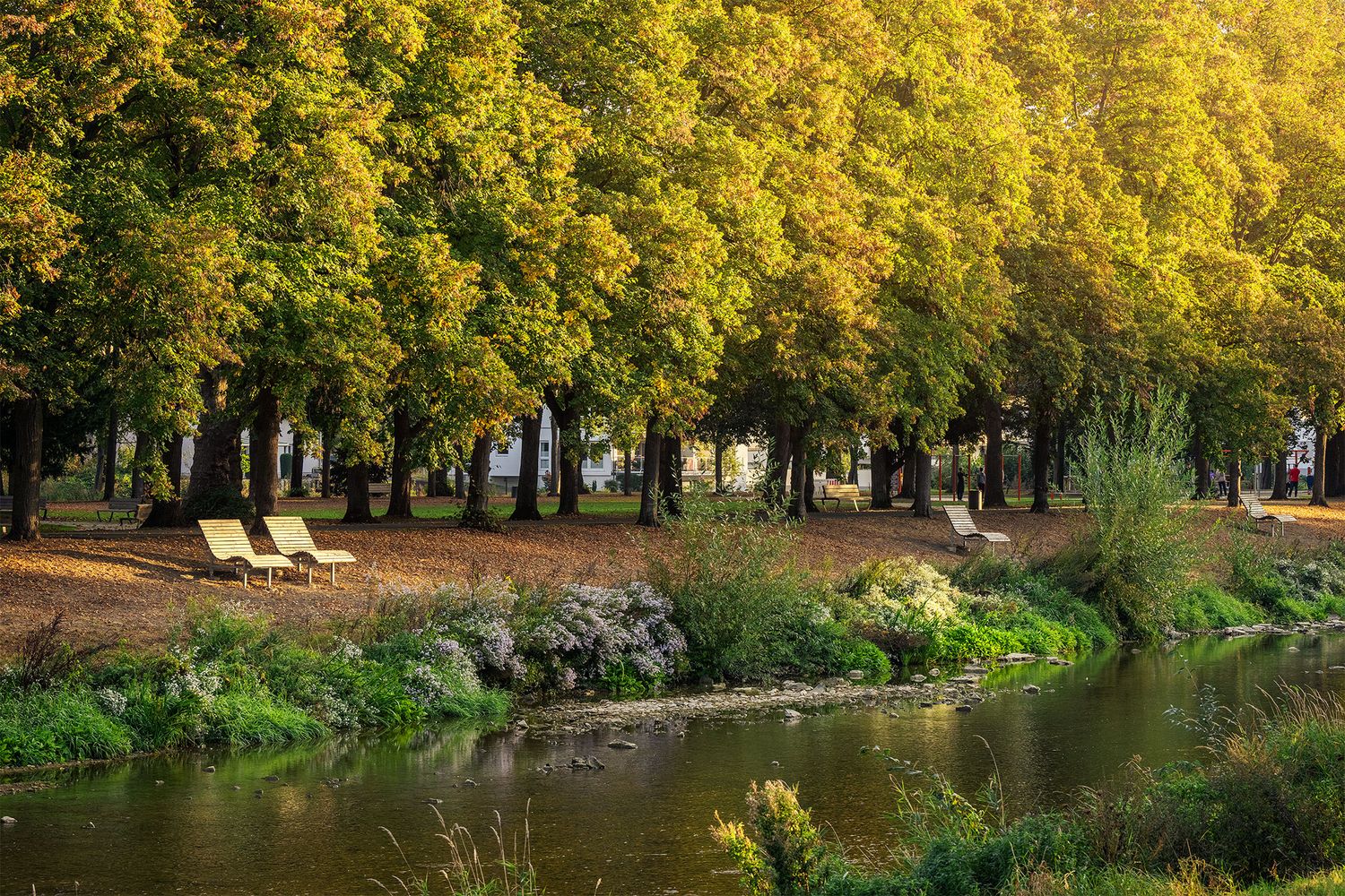 Ruhebereich im KAV-Park in Bad Neuenahr
