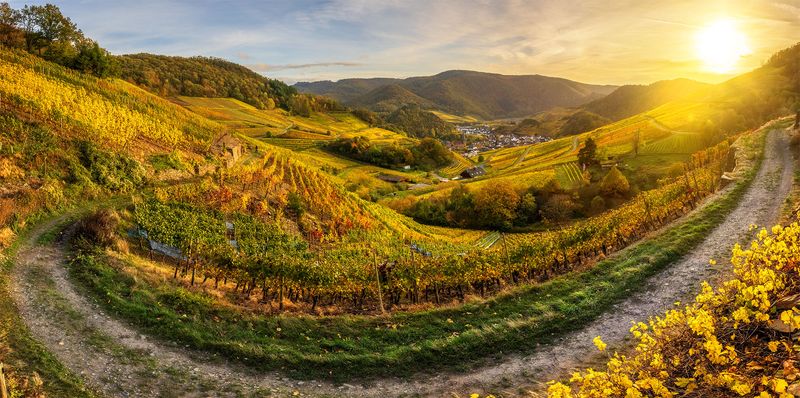 Herbstliches Panorama Mayschoß