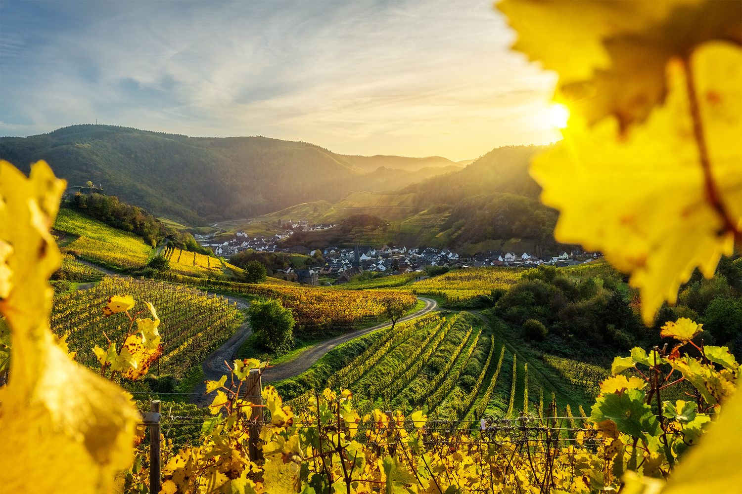 Herbstlicher Blick über Mayschoß