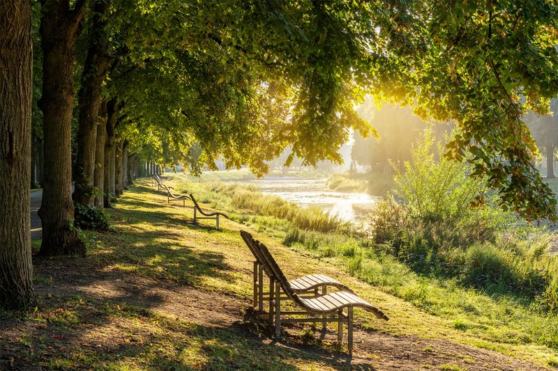 Bänke im Kaiserin-Auguste-Viktoria-Park in Bad Neuenahr