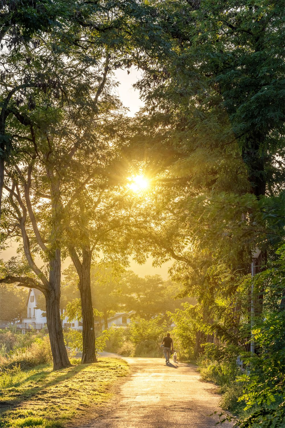 Spaziergang an der Ahr in Bad Neuenahr (Hochformat)