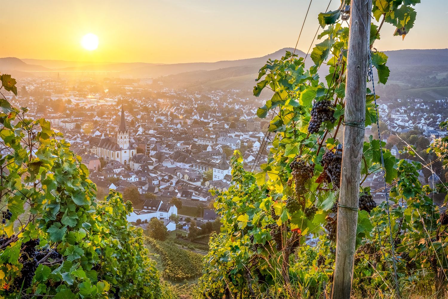 Blick auf Ahrweiler