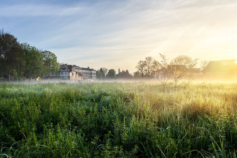 Dunstige Wiese an der Ahr