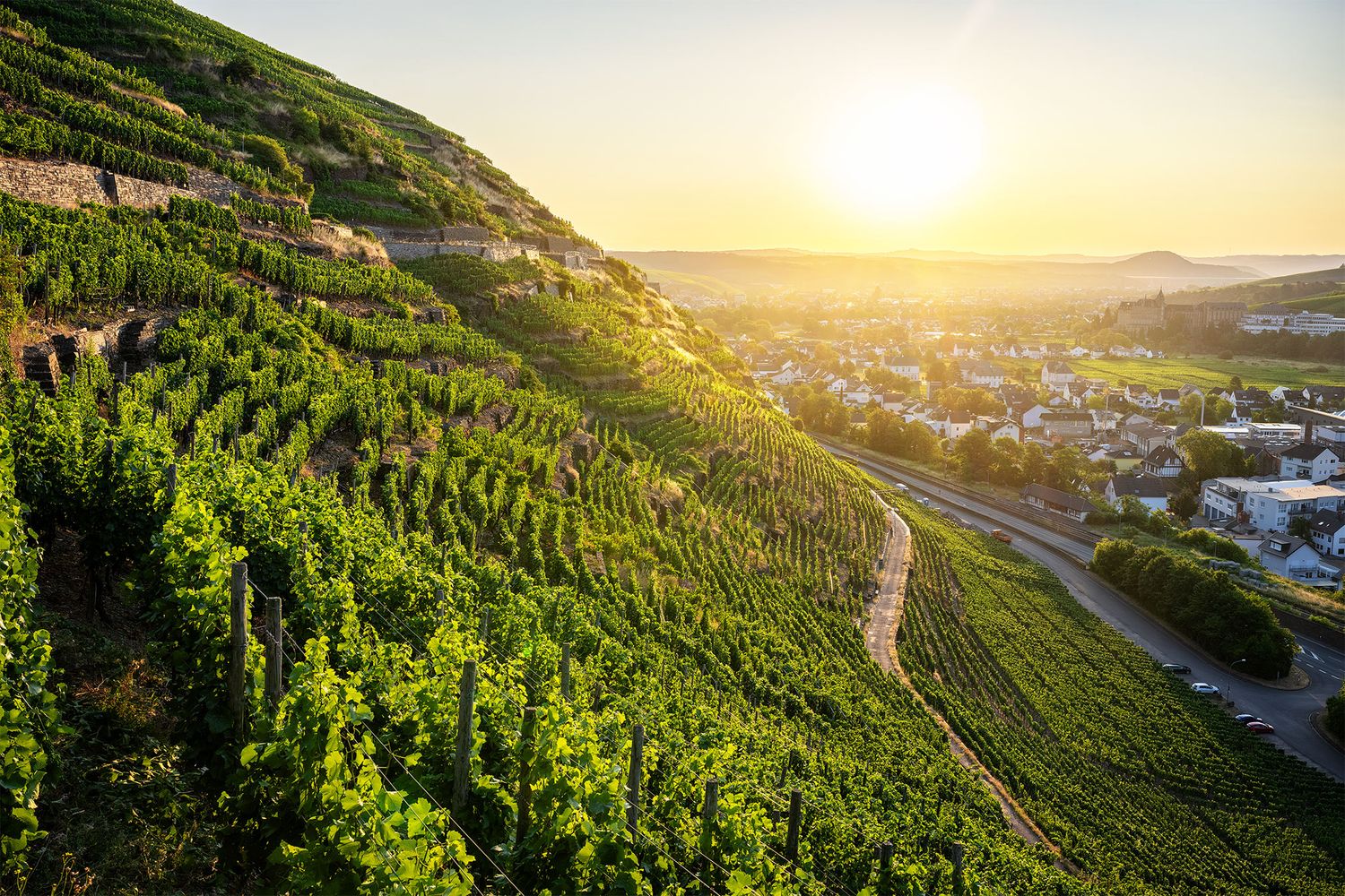 Weinberge in Walporzheim