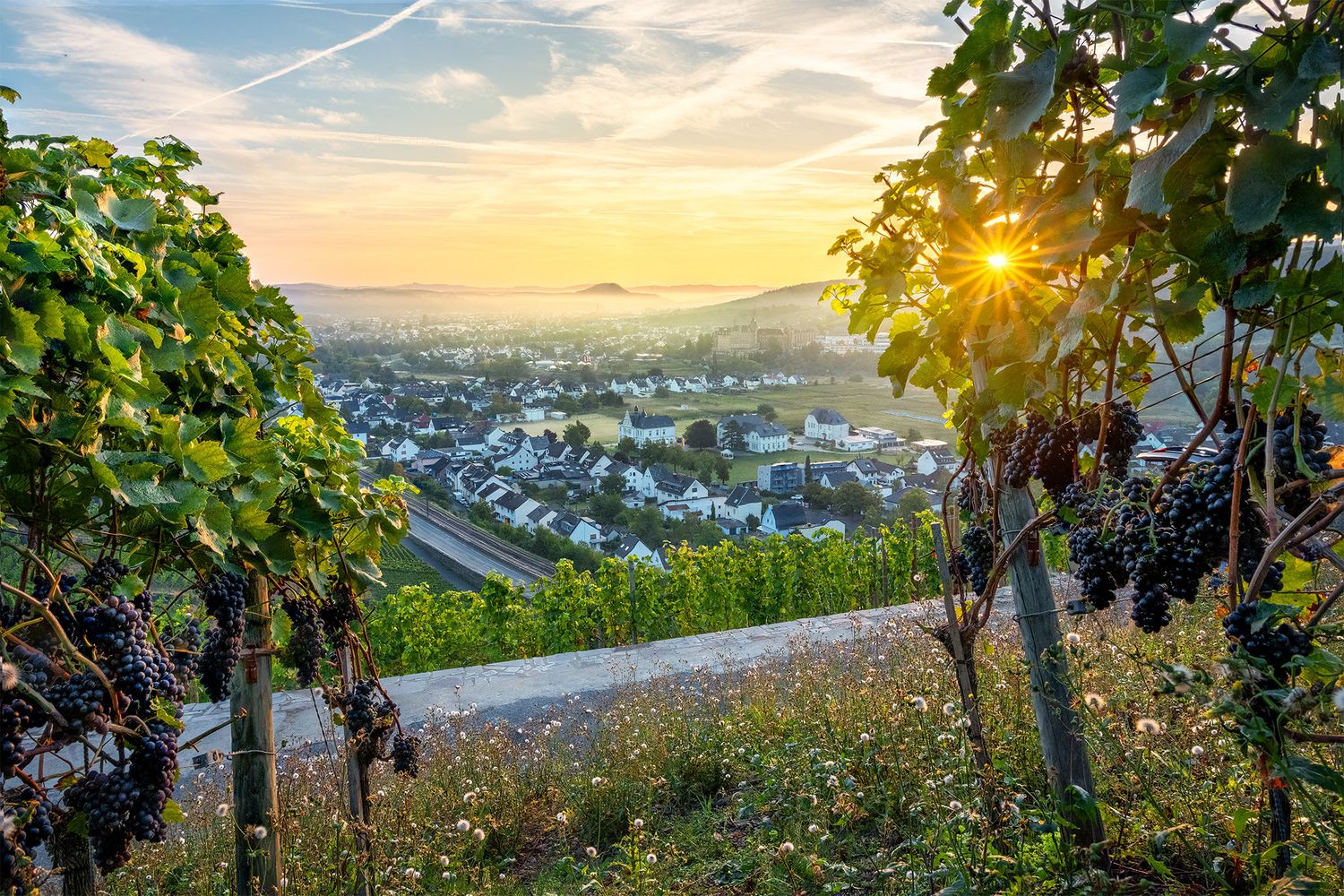 Nebliger Blick über Walporzheim