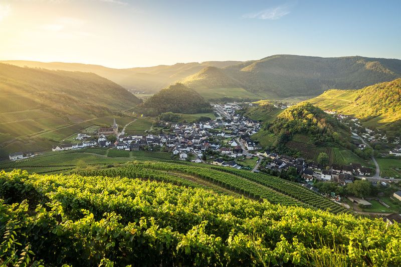 Blick auf Mayschoß