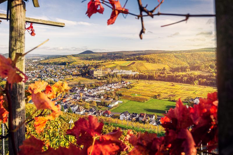 Herbsttag in den Weinbergen