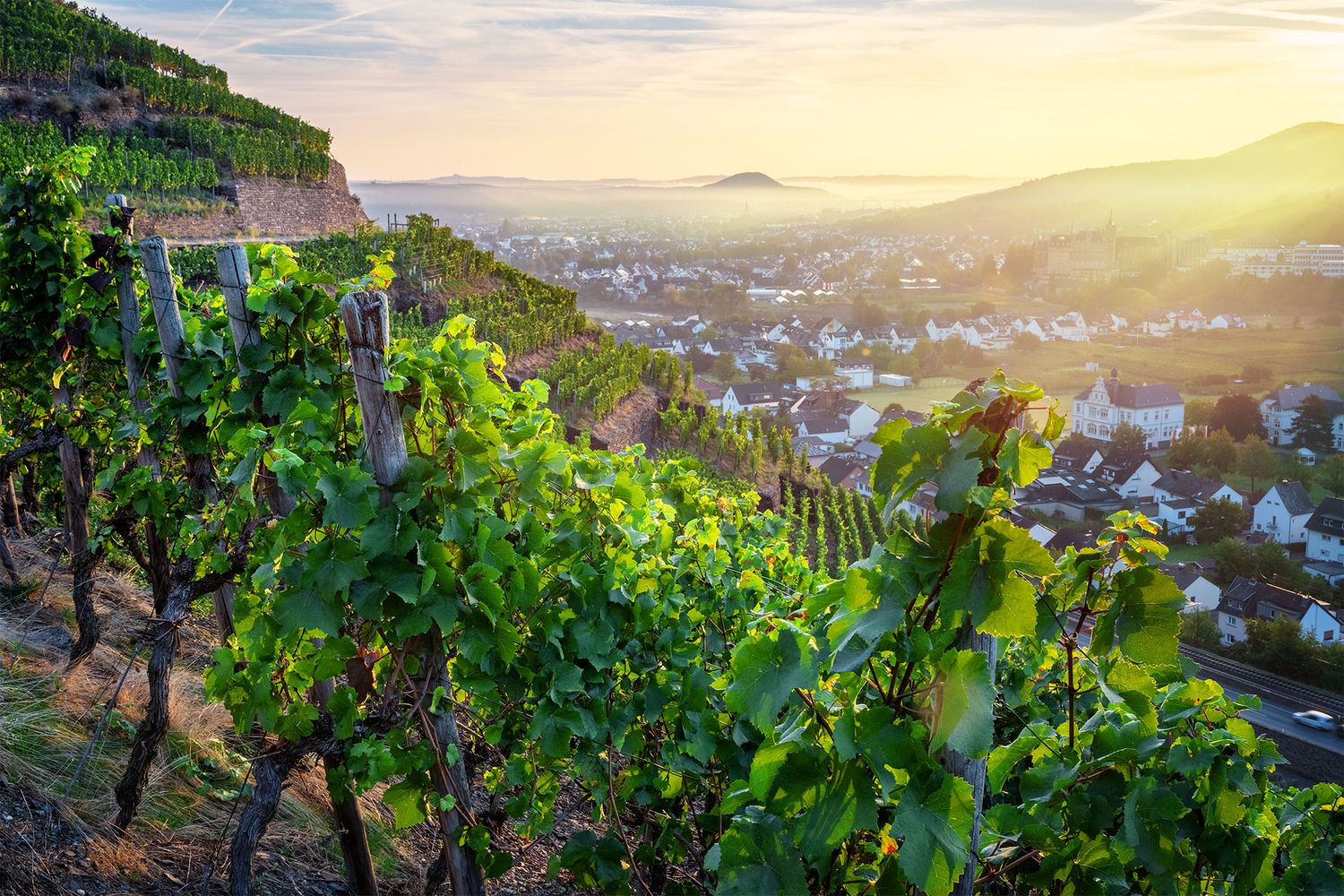 Weinberge über Walporzheim