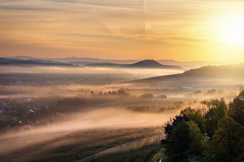 Bad Neuenahr im Nebel