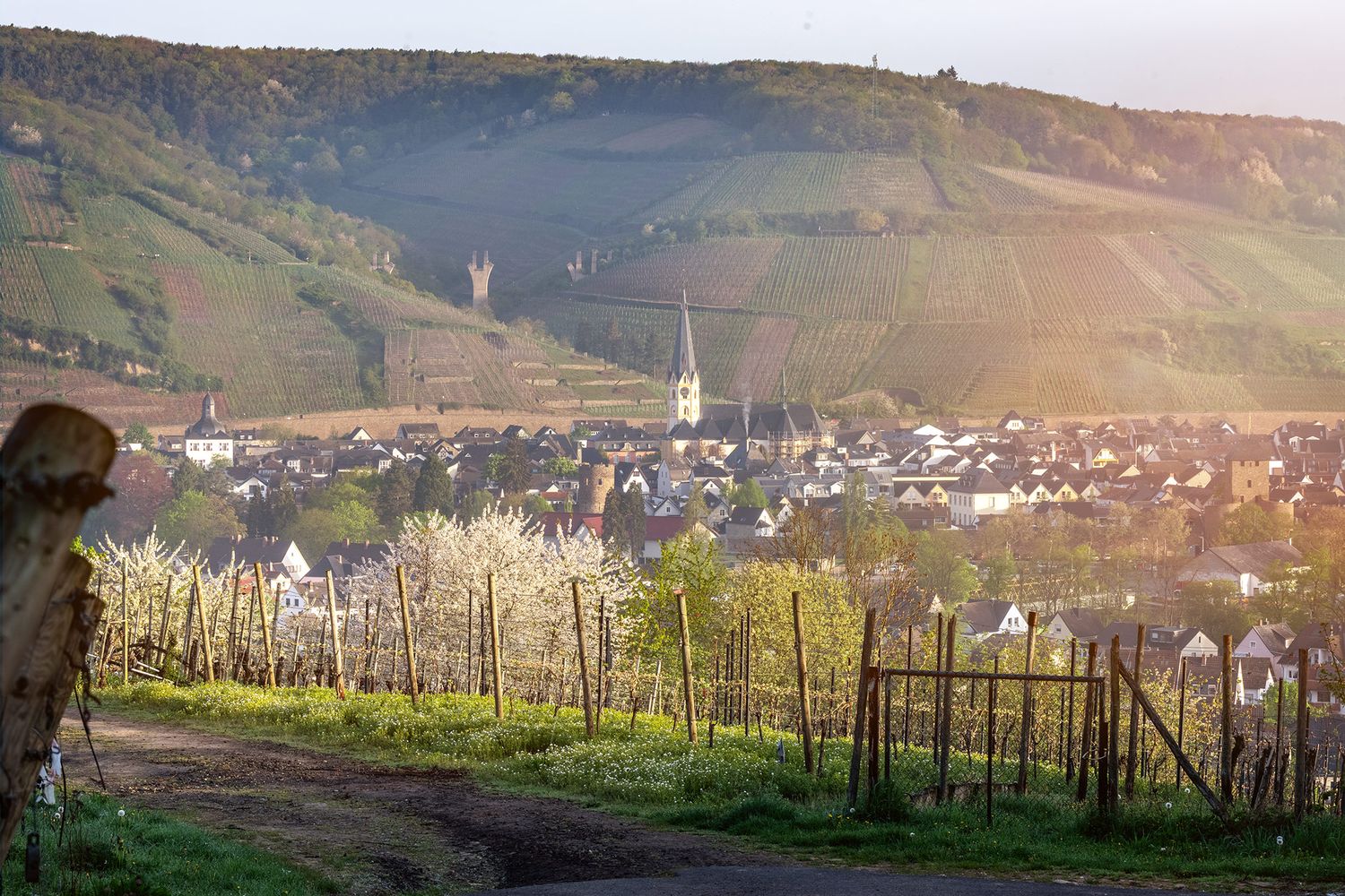 Blick auf Ahrweiler im Frühling