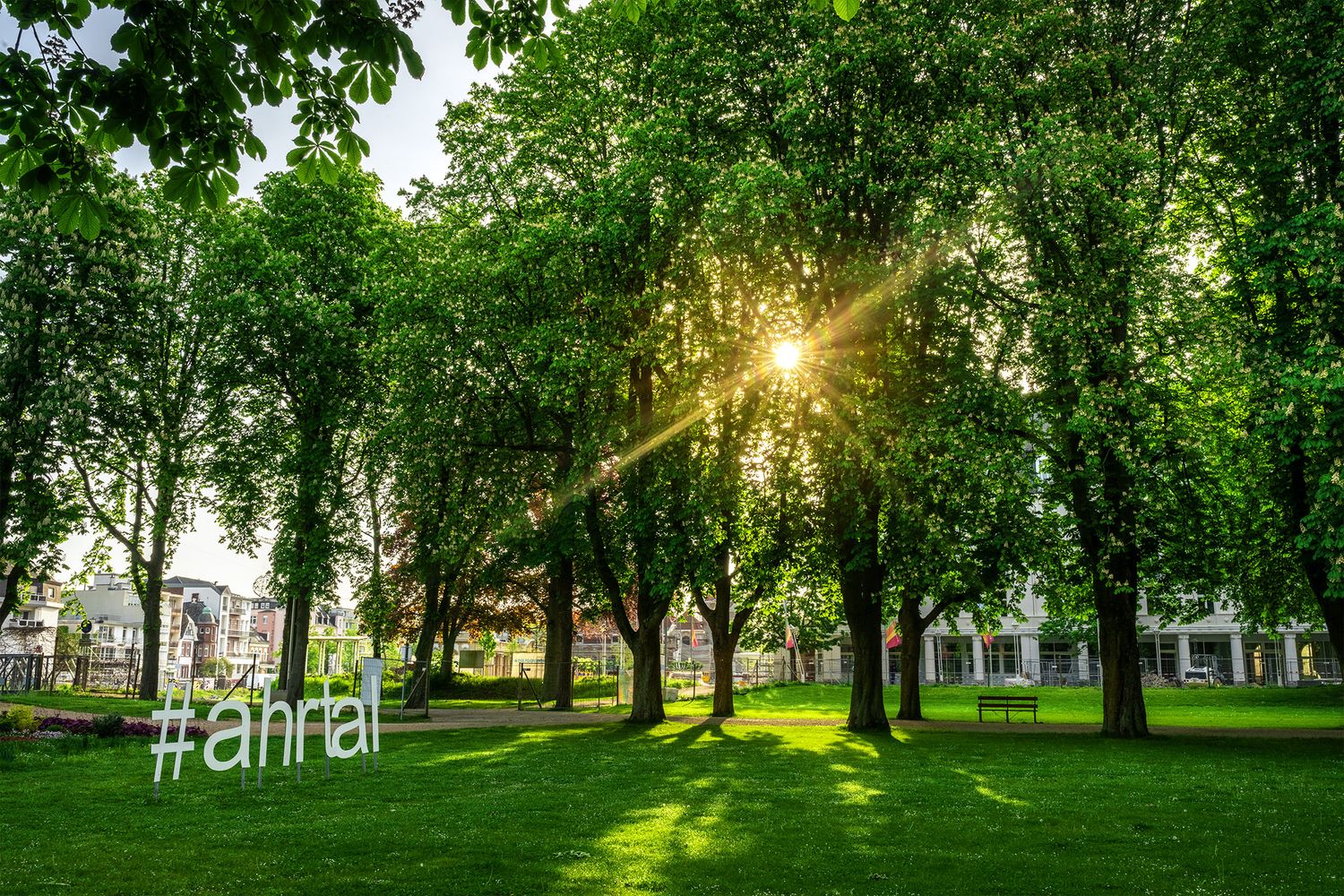 Kurpark Bad Neuenahr Kastanienblüte