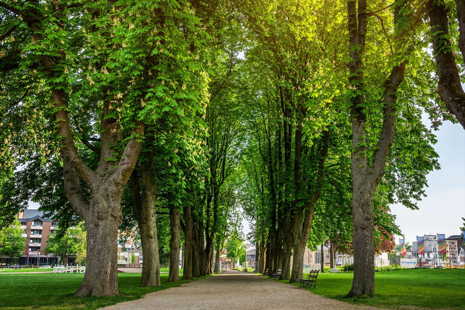 Kastanienallee Kurpark Bad Neuenahr