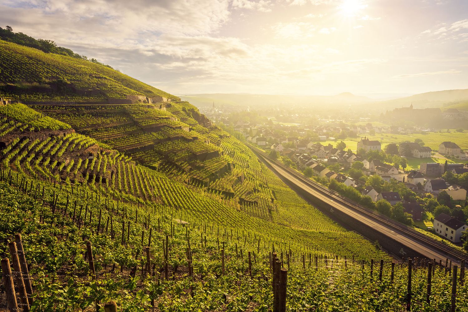 Nebliger Blick alte Weinbergslagen