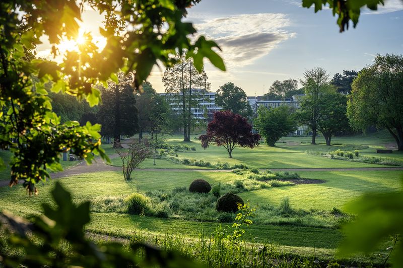 Dahliengarten Bad Neuenahr Frühlingssonnenaufgang