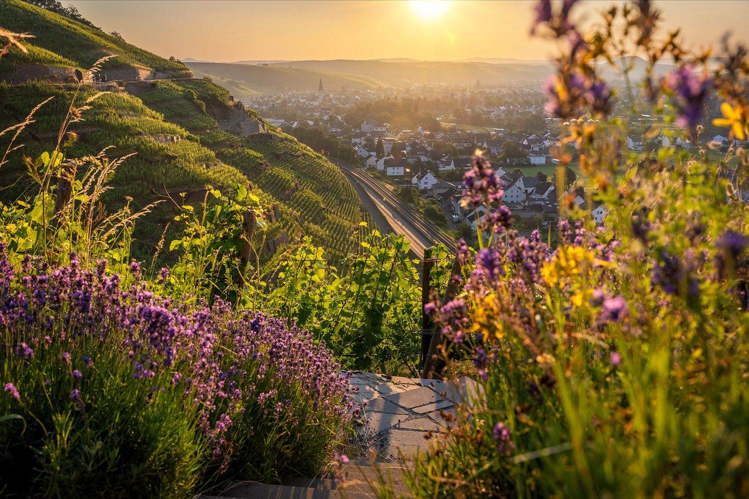 Sommerlicher Blick auf Ahrweiler