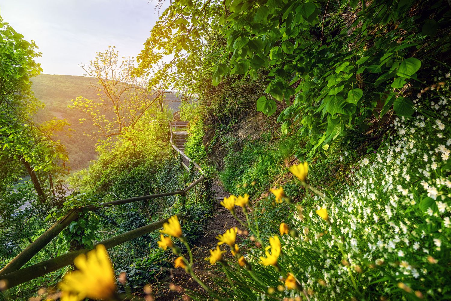 Wanderweg im Frühling