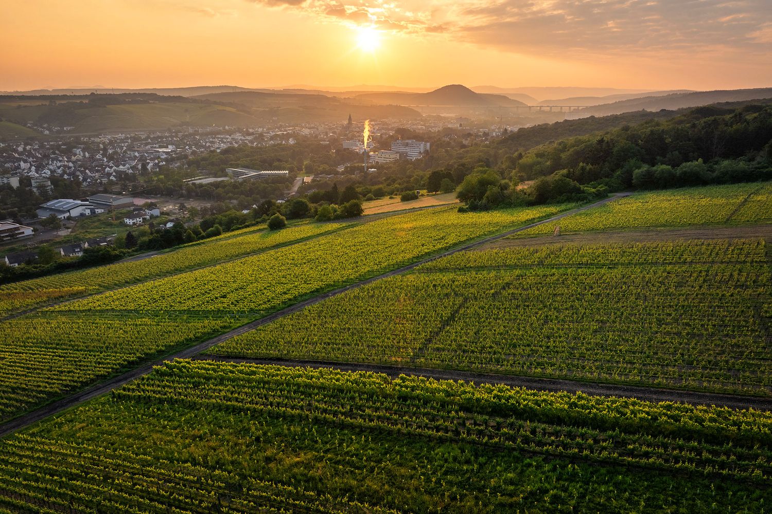 Blick über Weinberge nach Bad Neuenahr