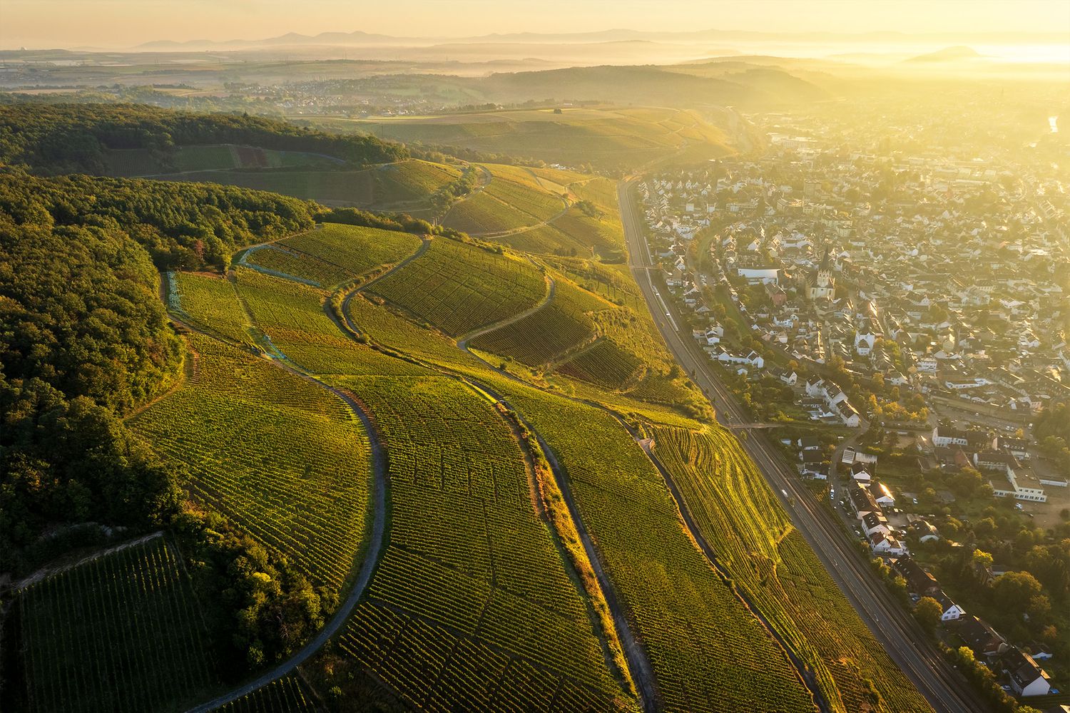 Weinberge und Ahrweiler
