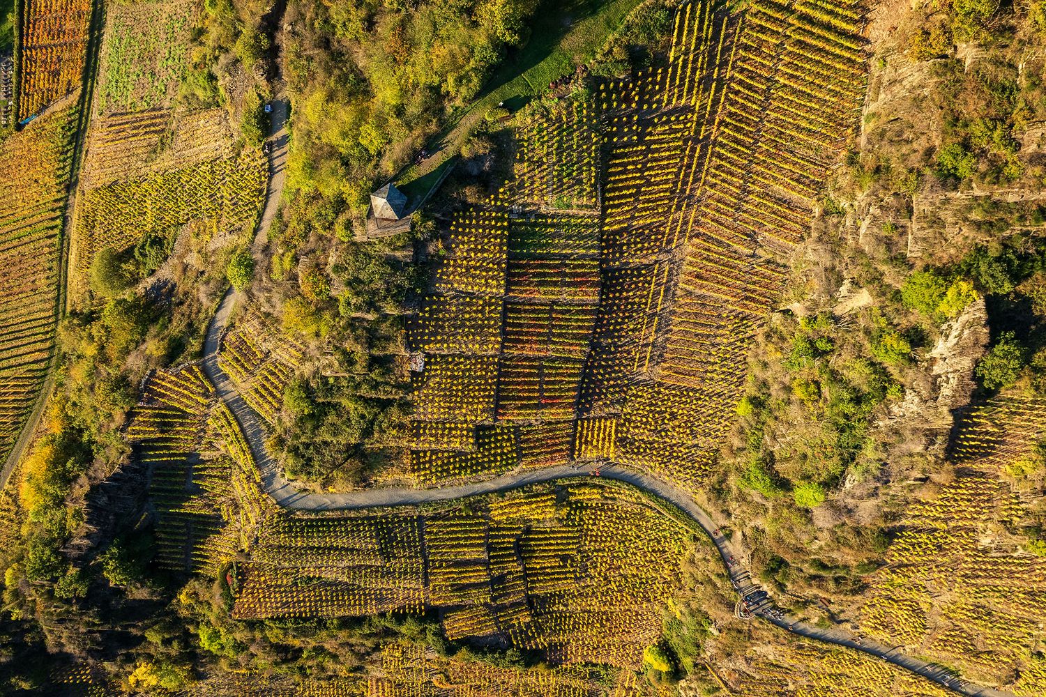 Mayschoß Weinberge Drohne