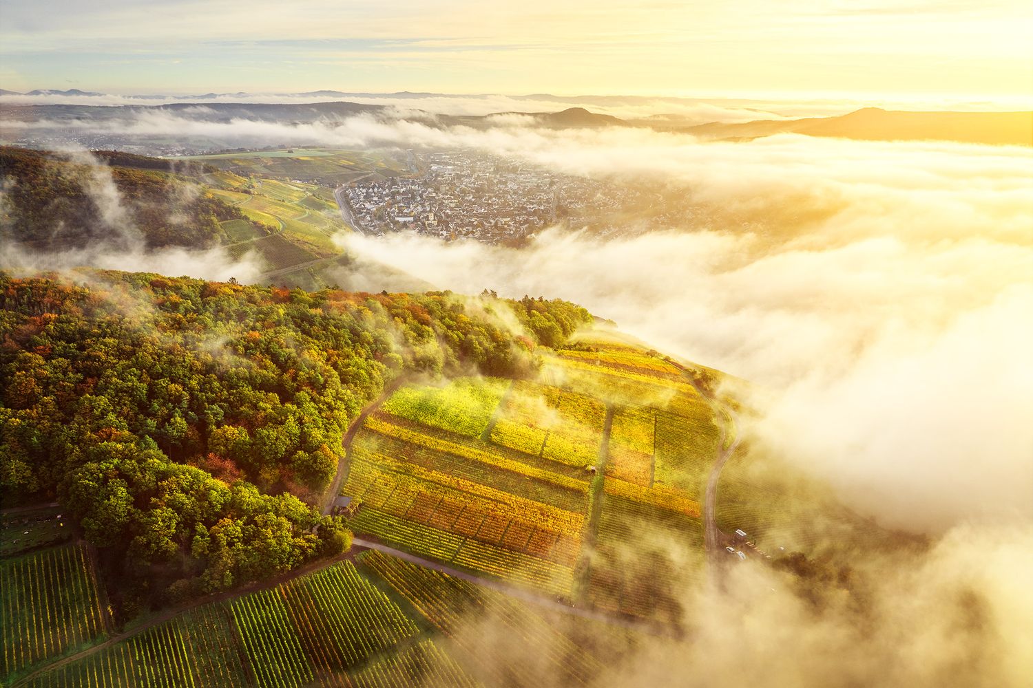 Weinberge Nebel und Ahrweiler
