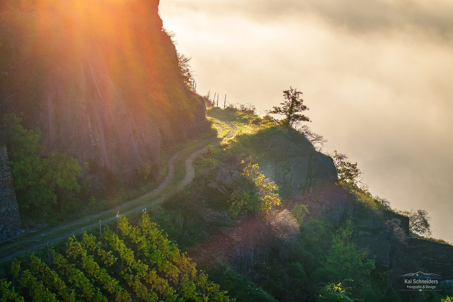 Felsen und Weinberge im Herbst