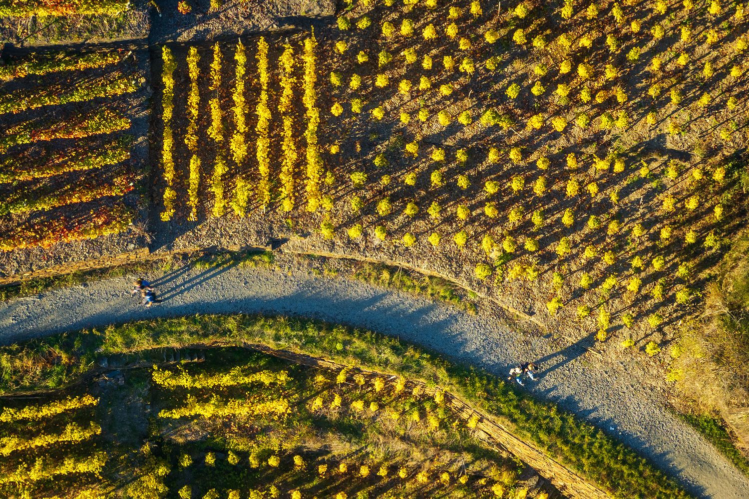 Mayschoß Weinberge Drohne Nr 2