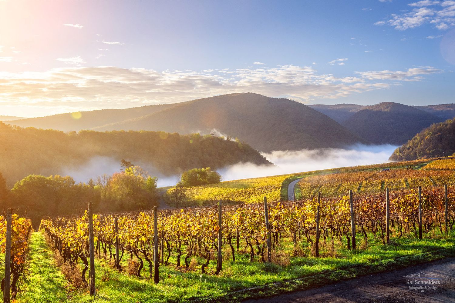 Weinberge an der Bunten Kuh