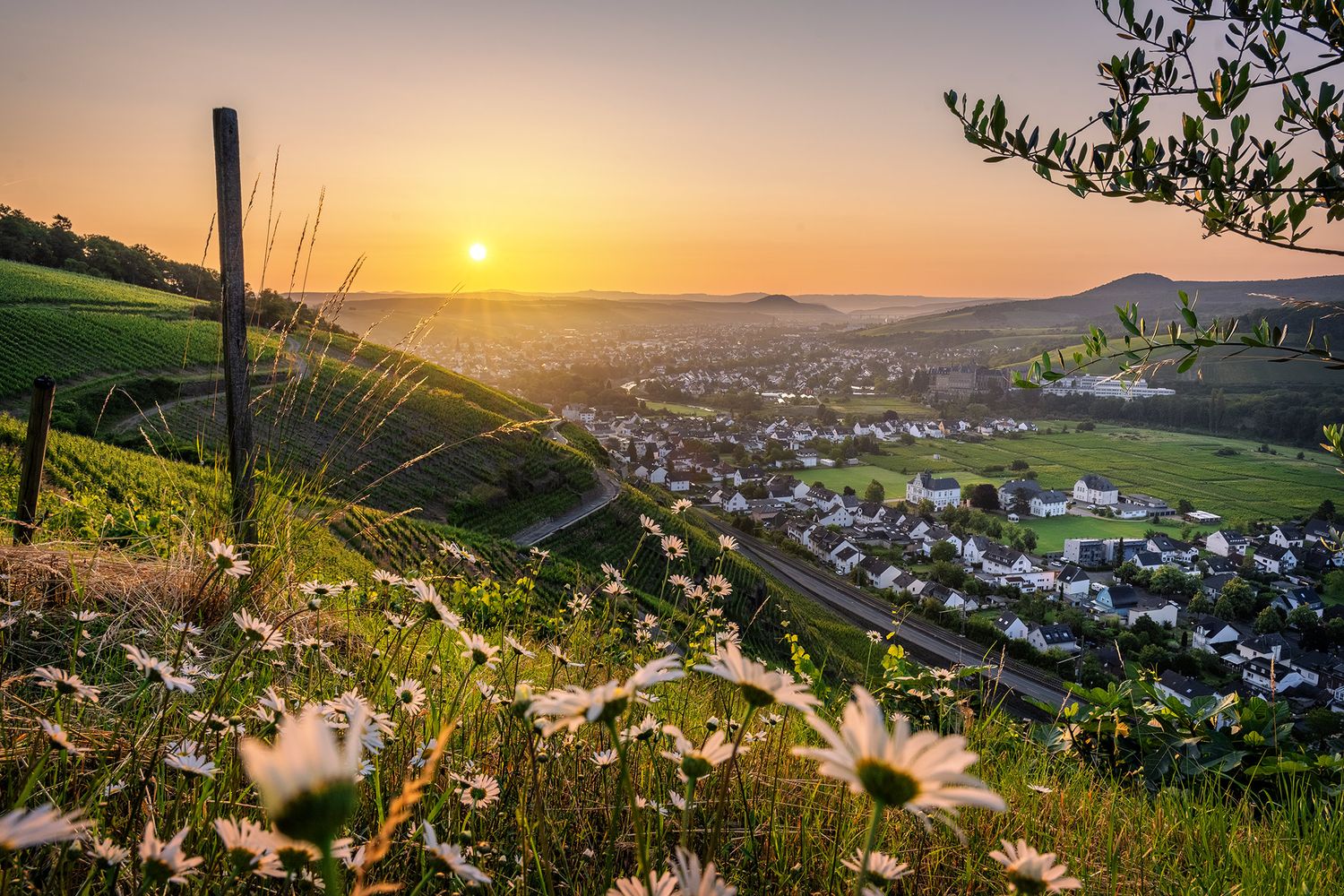 Sommerlicher Blick nach Ahrweiler