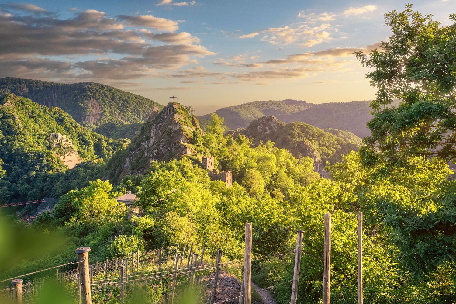 Blick auf die Burg Are in Altenahr