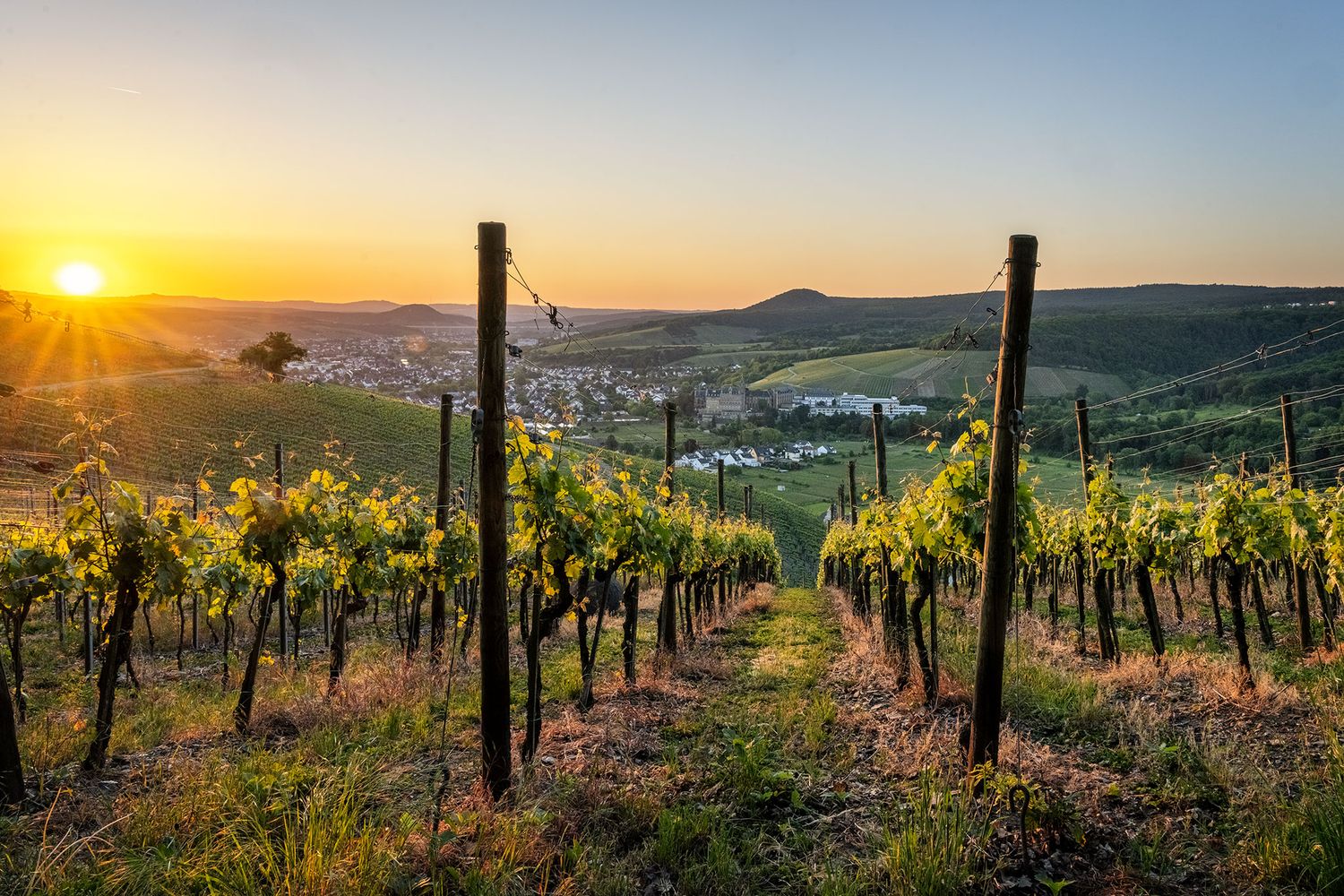 Blick auf den Calvarienberg im Frühling