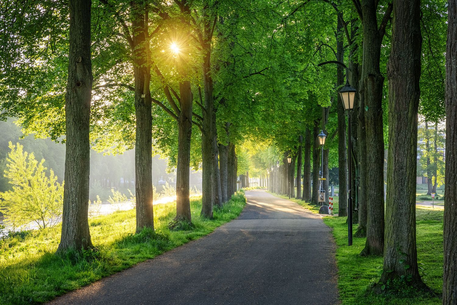 Allee in Bad Neuenahr