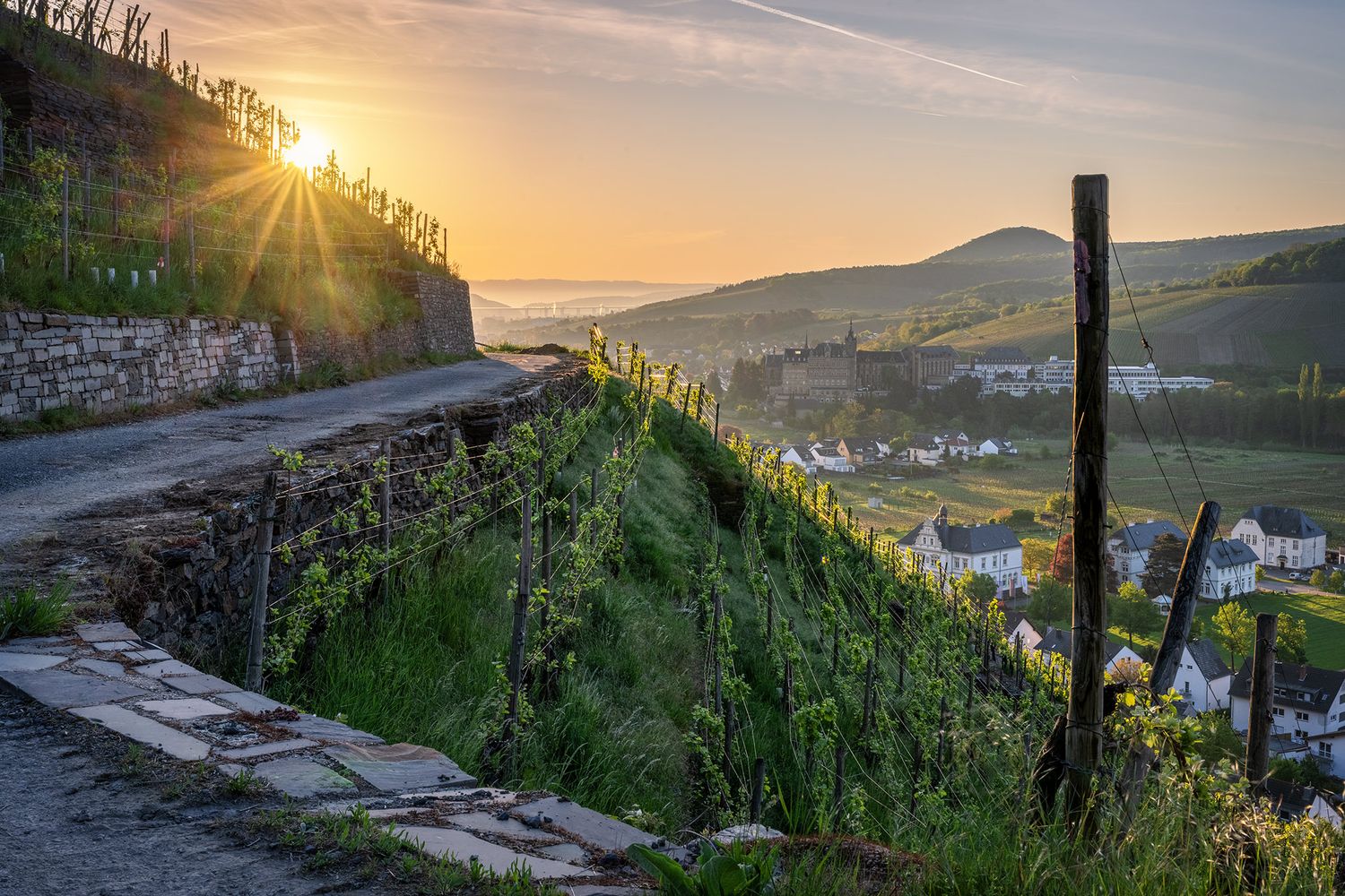 Blick aus den Weinbergen auf den Calvarienberg