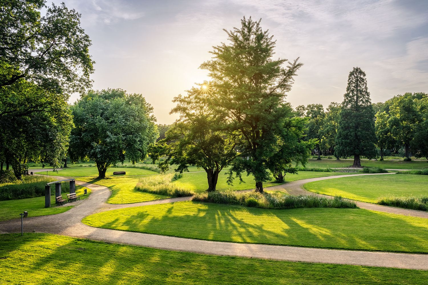 Dahliengarten zum Sonnenuntergang