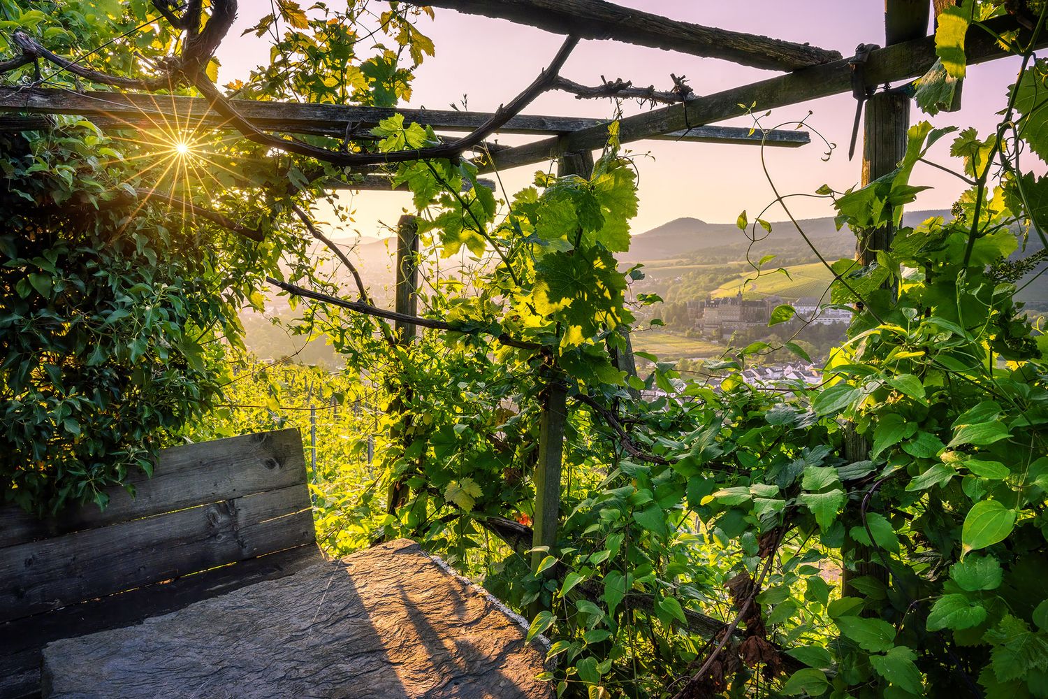 Laube in den Weinbergen
